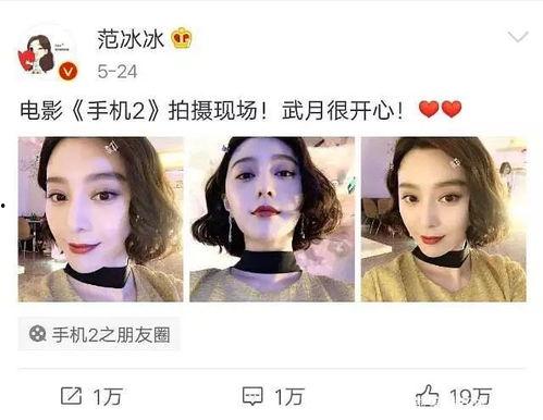 娱乐圈在线吃瓜小说免费阅读